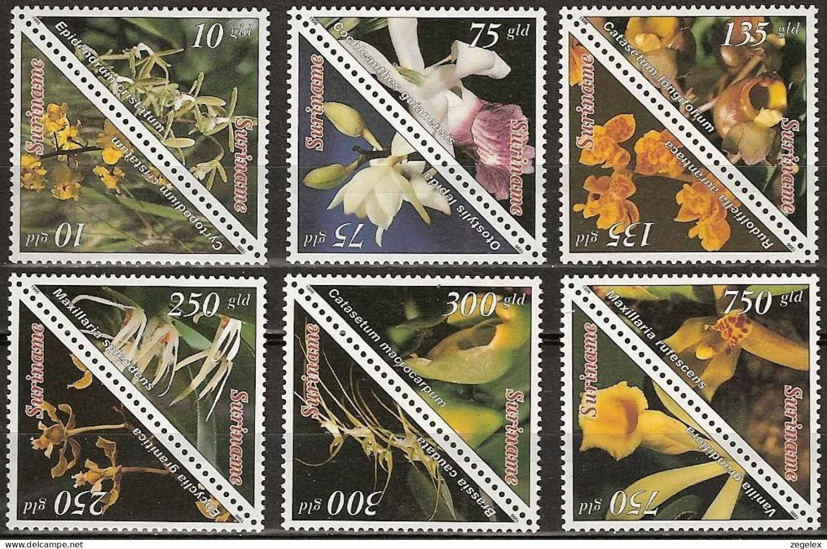 Suriname 1996 Bloemen, Flowers, Orchids - Pairs MNH/**/Postfris - Surinam