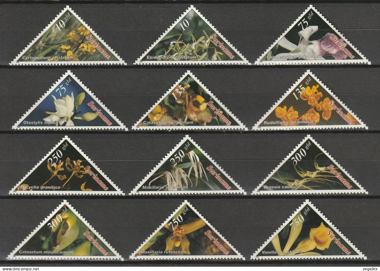 Suriname 1996 Bloemen, Flowers, Orchids - MNH/**/Postfris - Surinam