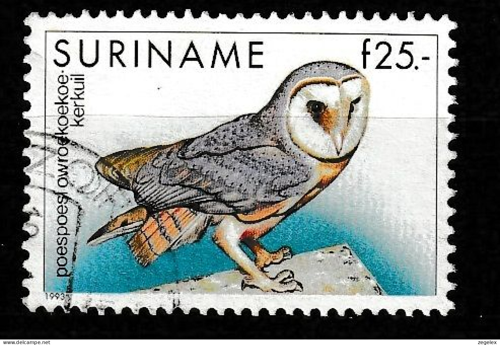 Suriname 1993 Bird Owl, Cancelled, Obliteré - Surinam