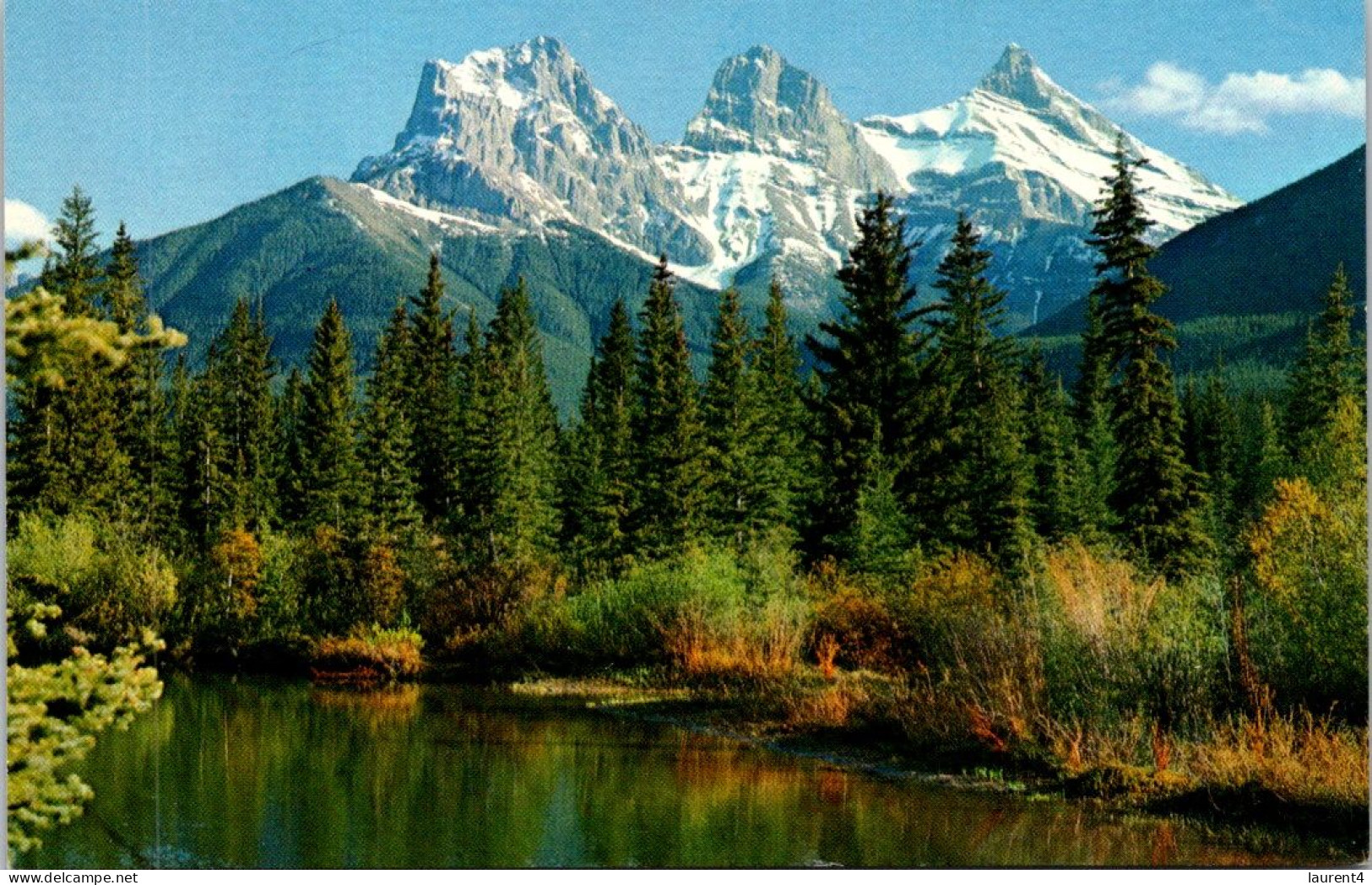 11-3-2025 (2 Y 42) Canada - Canadian Rockies Mountains  (2 Postcards) - Arbres