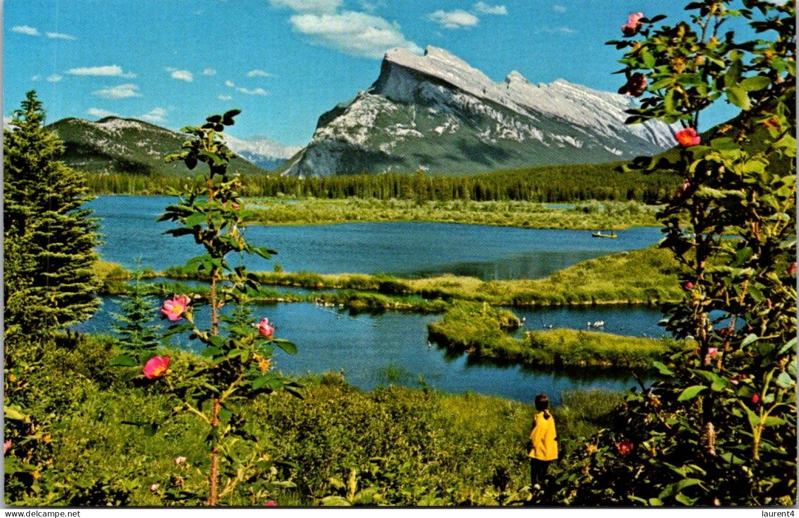 11-3-2025 (2 Y 42) Canada - Canadian Rockies Mountains  (2 Postcards) - Trees