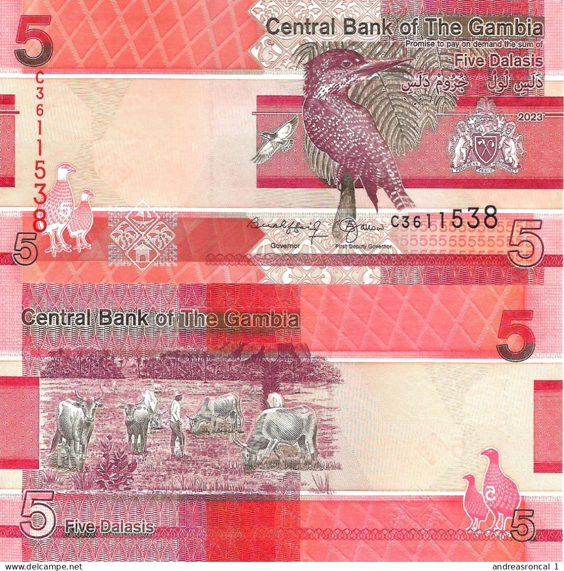 Gambia 5 Dalasis 2023 P-37c UNC - Gambia