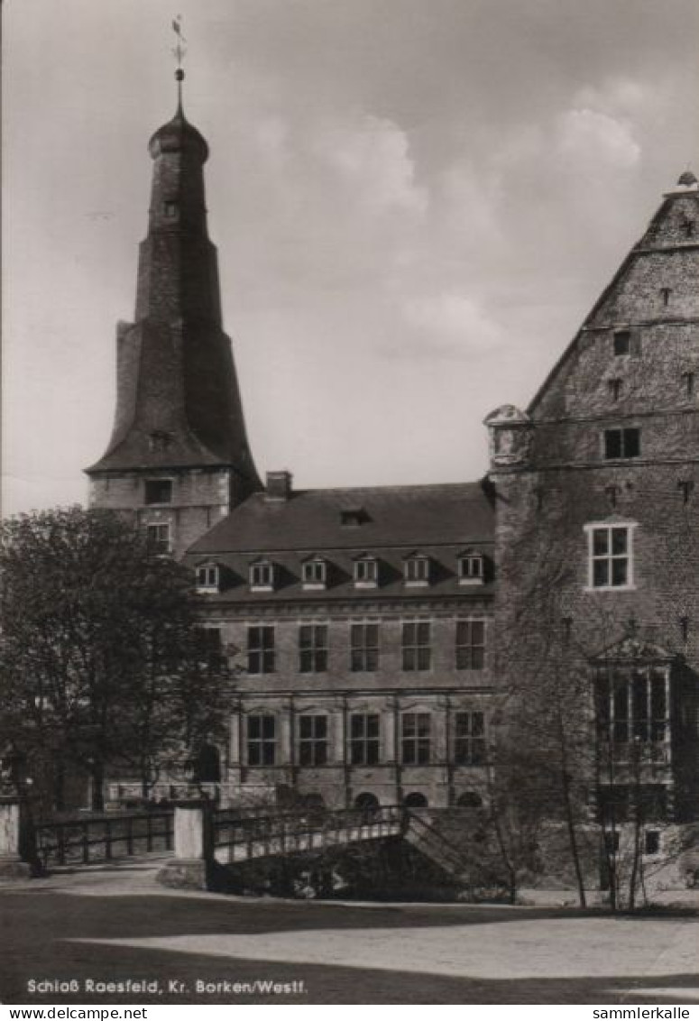 43250 - Raesfeld - Gaststätte Schloss - Ca. 1955 - Borken
