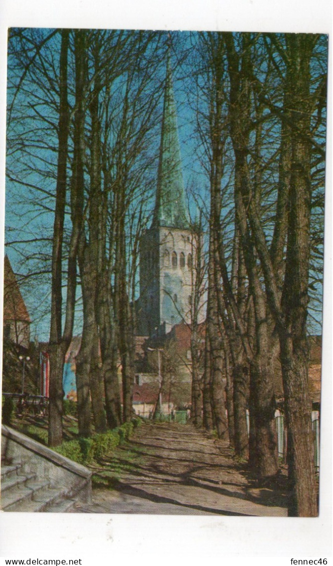 ESTONIE - TALLIN - St Olaüs (Oleviste) Church  (I90) - Estonia