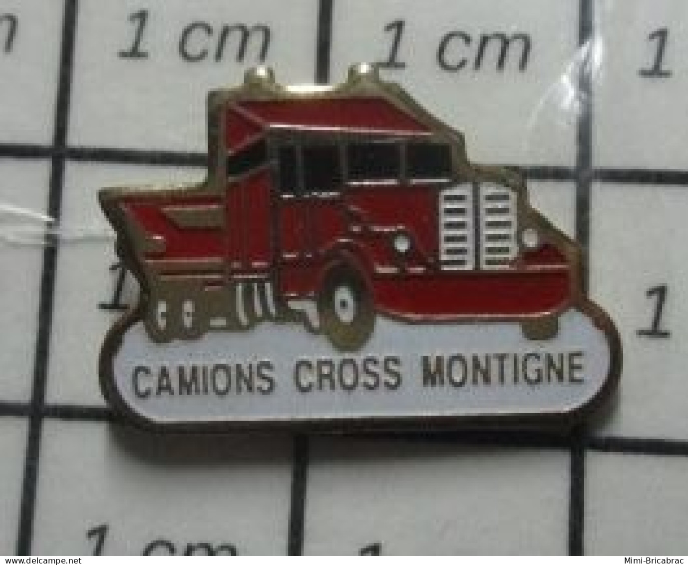 1616A Pin's Pins / Beau Et Rare / SPORTS / CAMION CROSS MONTIGNE Pas Polluant Tres écolo ! - Automobile - F1