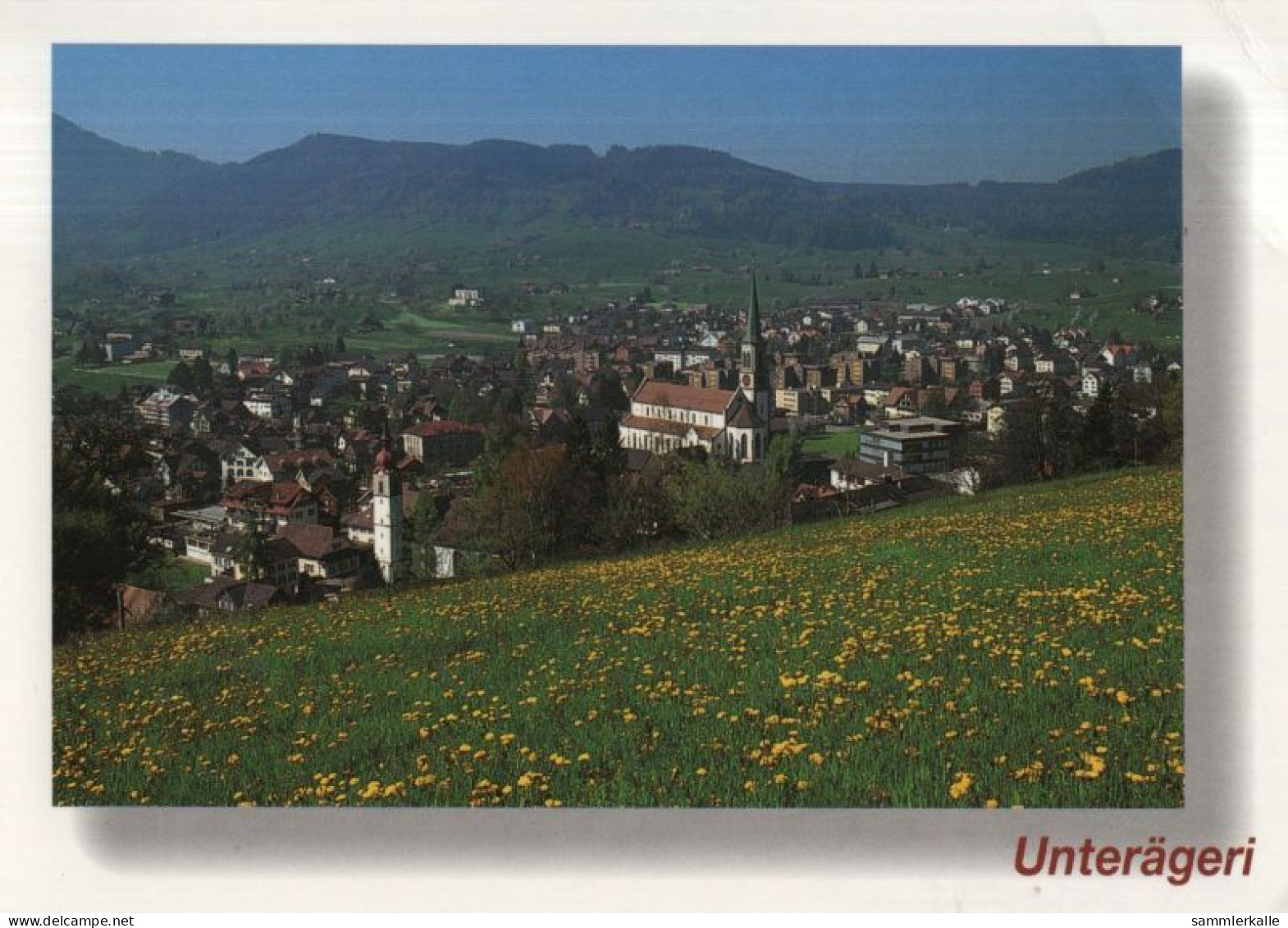 137066 - Unterägeri - Schweiz - Ansicht - Autres & Non Classés