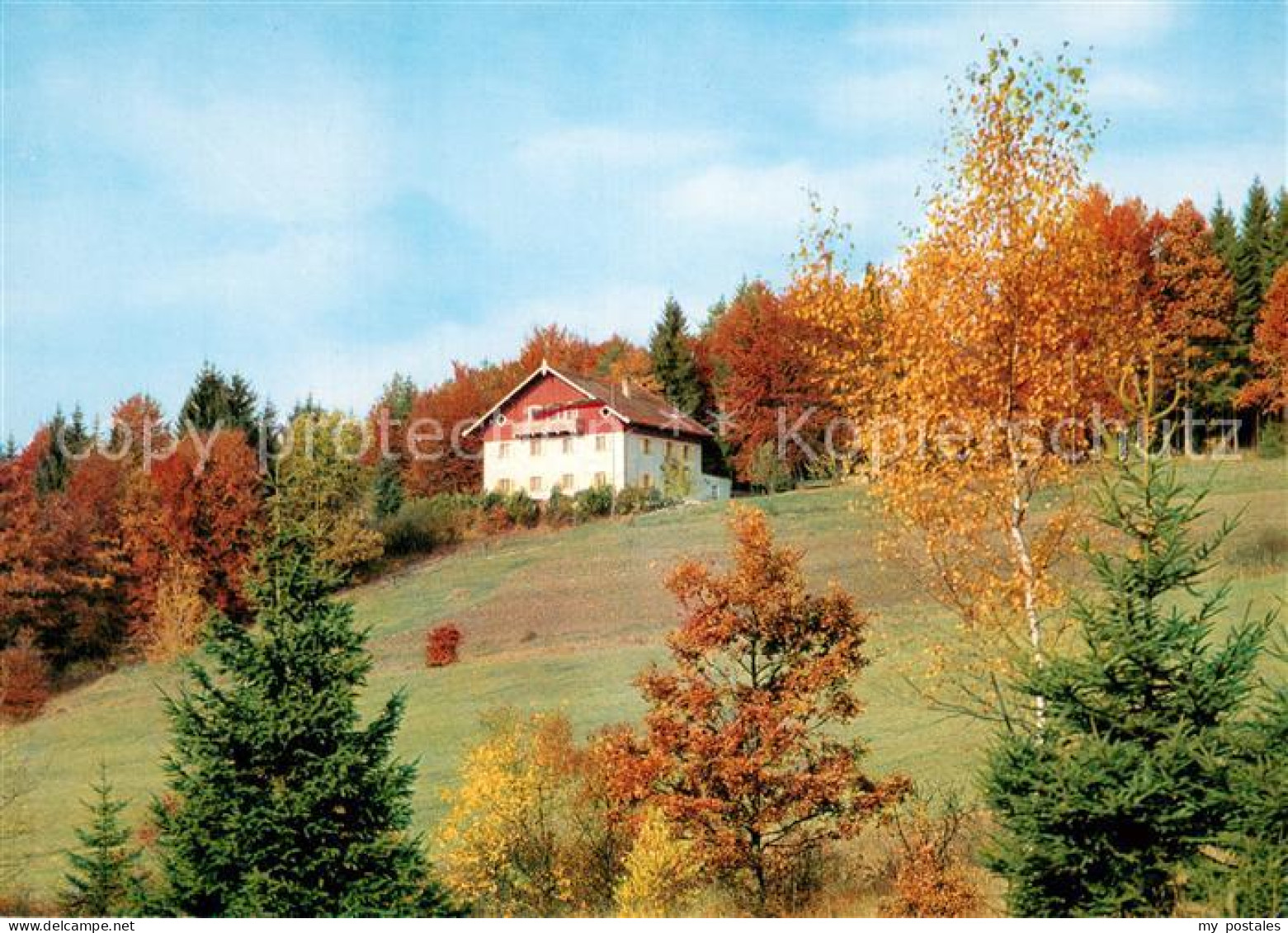 73678858 Kelheim Naturfreundehaus Hammertal Herbststimmung Kelheim - Kelheim