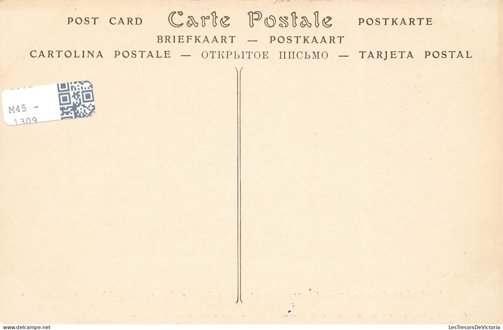 FRANCE - Langeais - Le Château - Vue Générale - Carte Postale Ancienne - Langeais