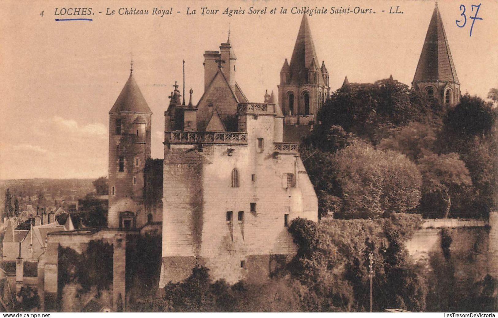 FRANCE - Loches - Le Château Royal - La Tour Agnès Sorel Et La Collégiale Saint Ours - Carte Postale Ancienne - Loches
