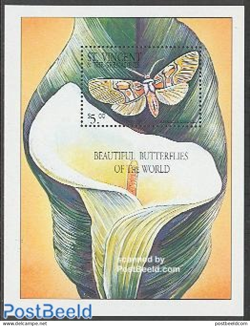 Saint Vincent 2001 Butterflies S/s, Anaxita Drucei, Mint NH, Nature - Butterflies - St.Vincent (1979-...)