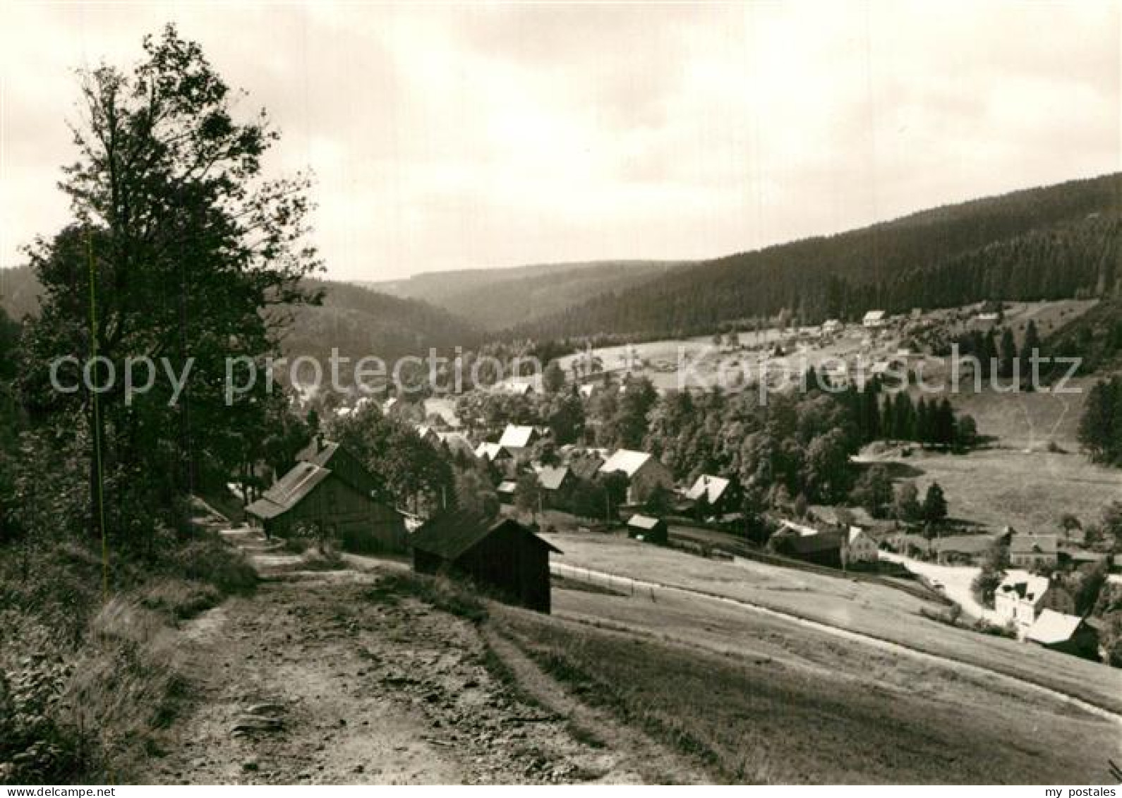 73567112 Wildenthal Eibenstock Panorama Wildenthal Eibenstock - Eibenstock