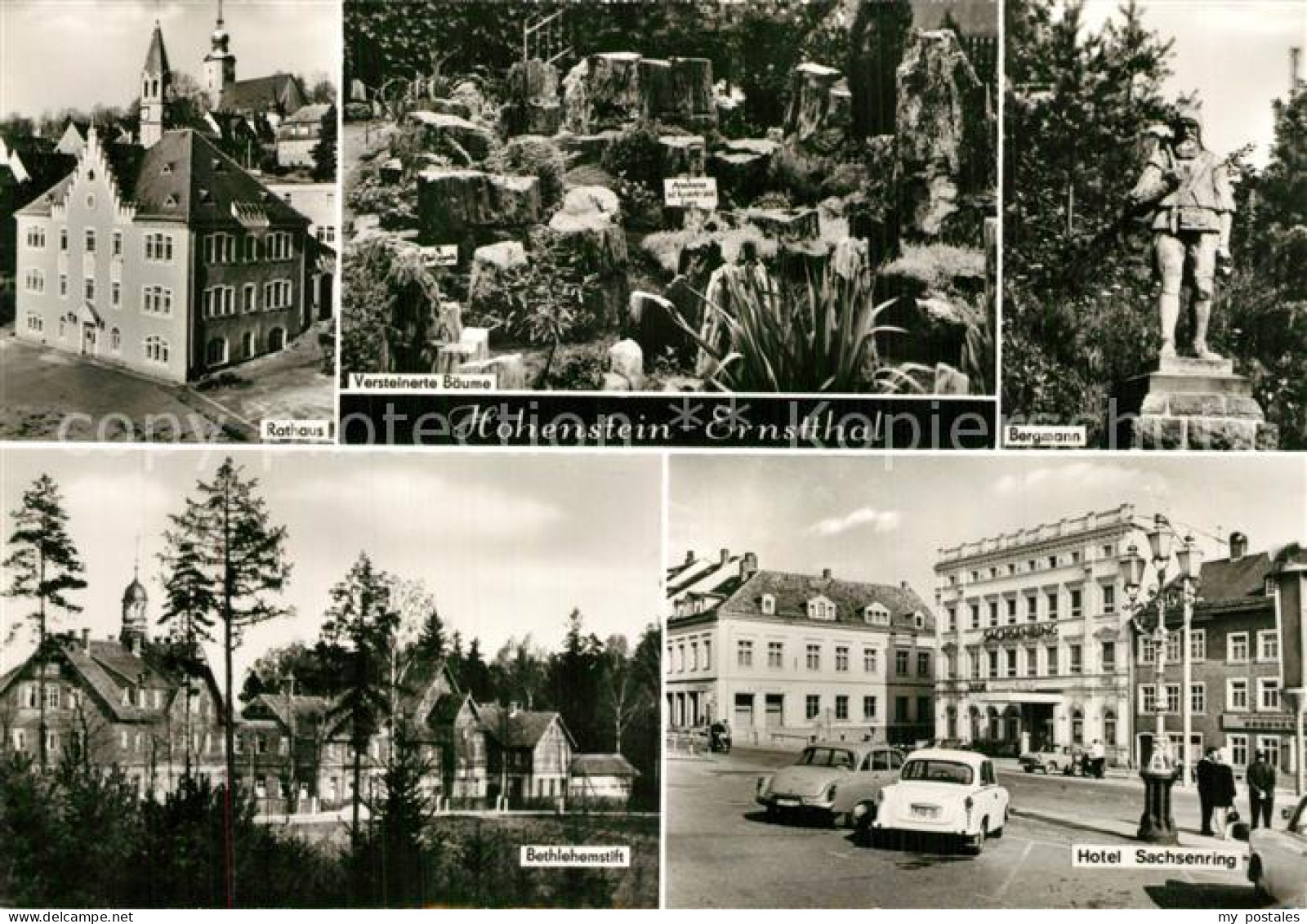 73566370 Hohenstein-Ernstthal Rathaus Versteinerte Baeume Bergmann Statue Hotel  - Hohenstein-Ernstthal