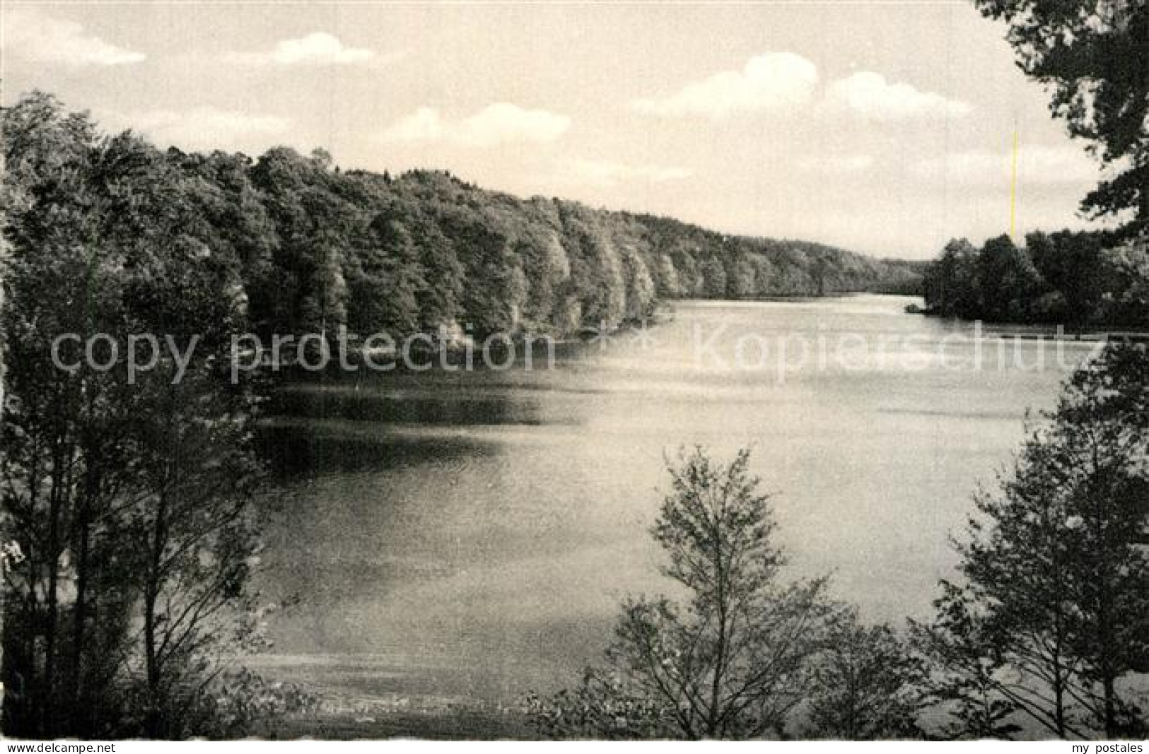 73566223 Moelln Lauenburg Schmalsee Vom Kurhaus Waldhalle Moelln Lauenburg - Mölln