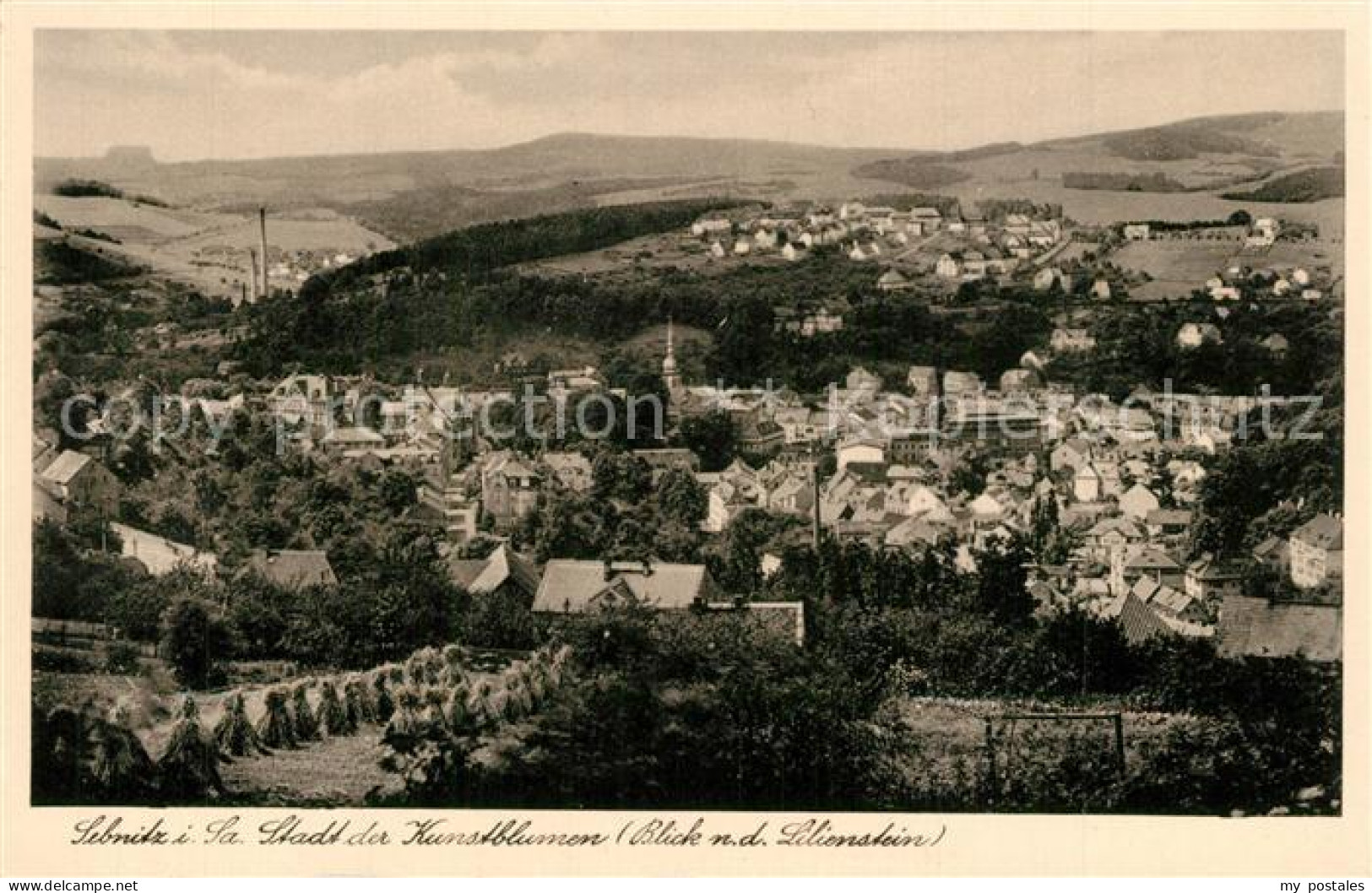 73558253 Sebnitz Panorama Blick Nach Dem Lilienstein Stadt Der Kunstblumen Sebni - Sebnitz