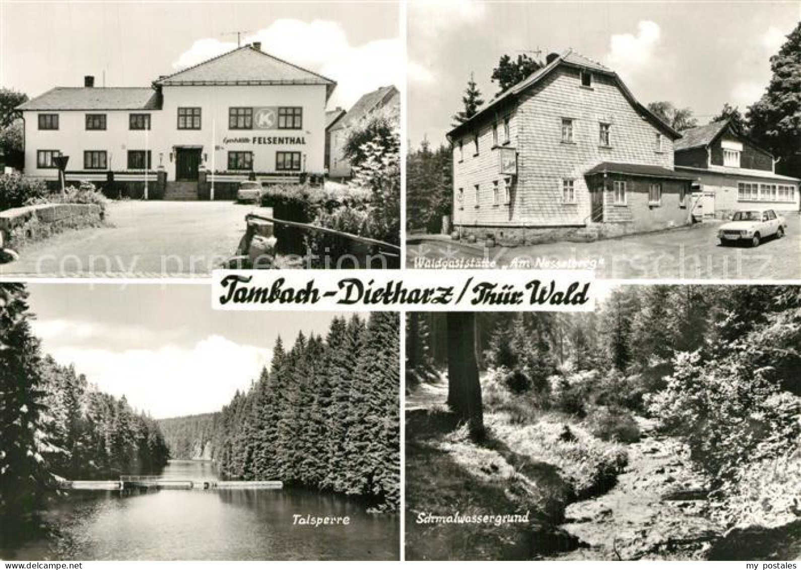 73549329 Tambach-Dietharz Gasthaus Felsenthal Waldgaststaette Am Nesselberg Tals - Tambach-Dietharz