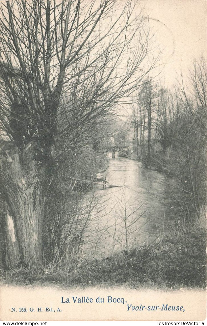 BELGIQUE - Yvoir Sur Meuse - Vue Sur La Vallée Du Bocq - Carte Postale Ancienne - Yvoir