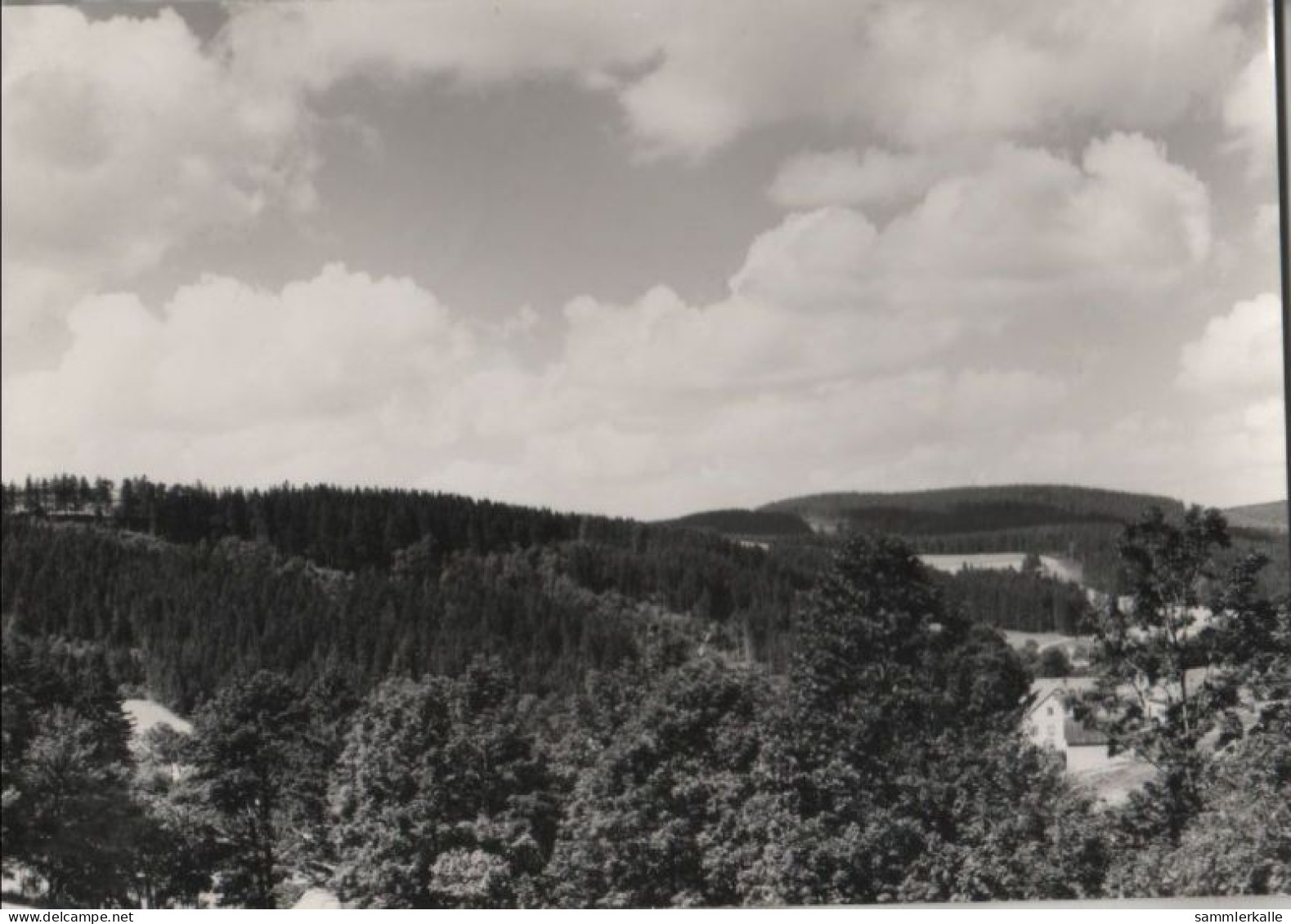 45615 - Schmiedeberg-Schönfeld - Tal Der Wilden Weisseritz - 1962 - Schmiedeberg (Erzgeb.)