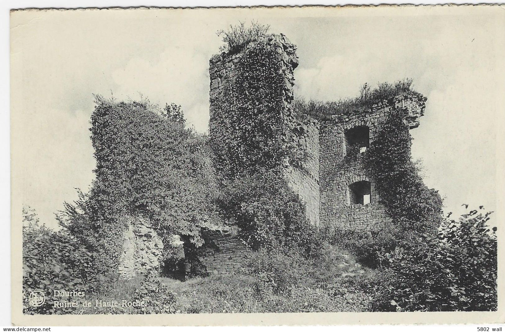 VIROINVAL - DOURBES : Ruines De Haute Roche - Viroinval
