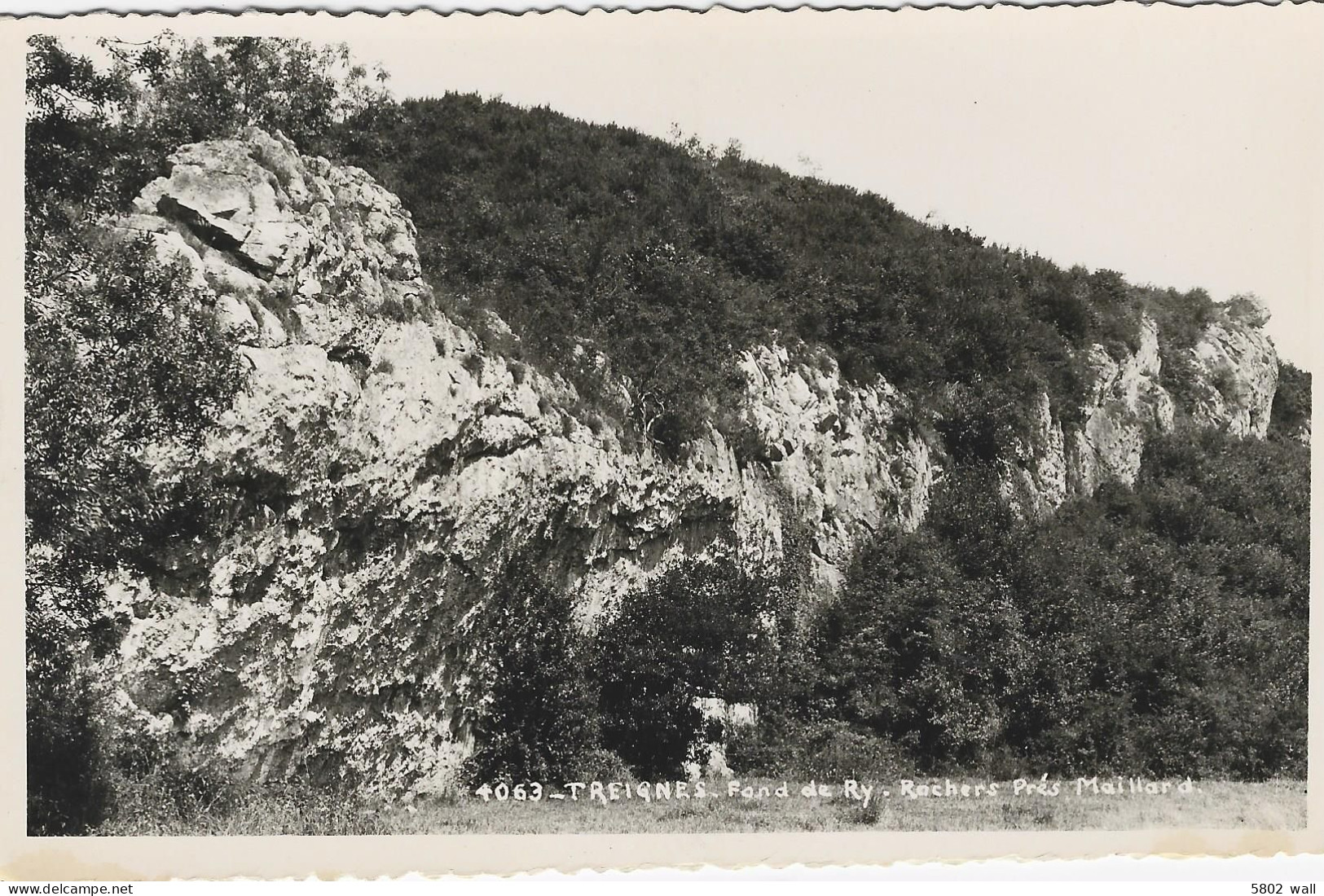 TREIGNES : Fond De Ry - Rochers Pré Maillard - Viroinval