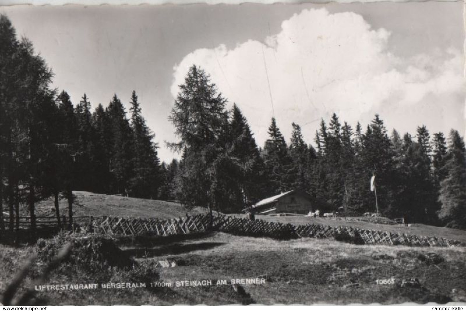 72493 - Österreich - Steinach Am Brenner - Liftrestaurant Bergeralm - 1964 - Steinach Am Brenner