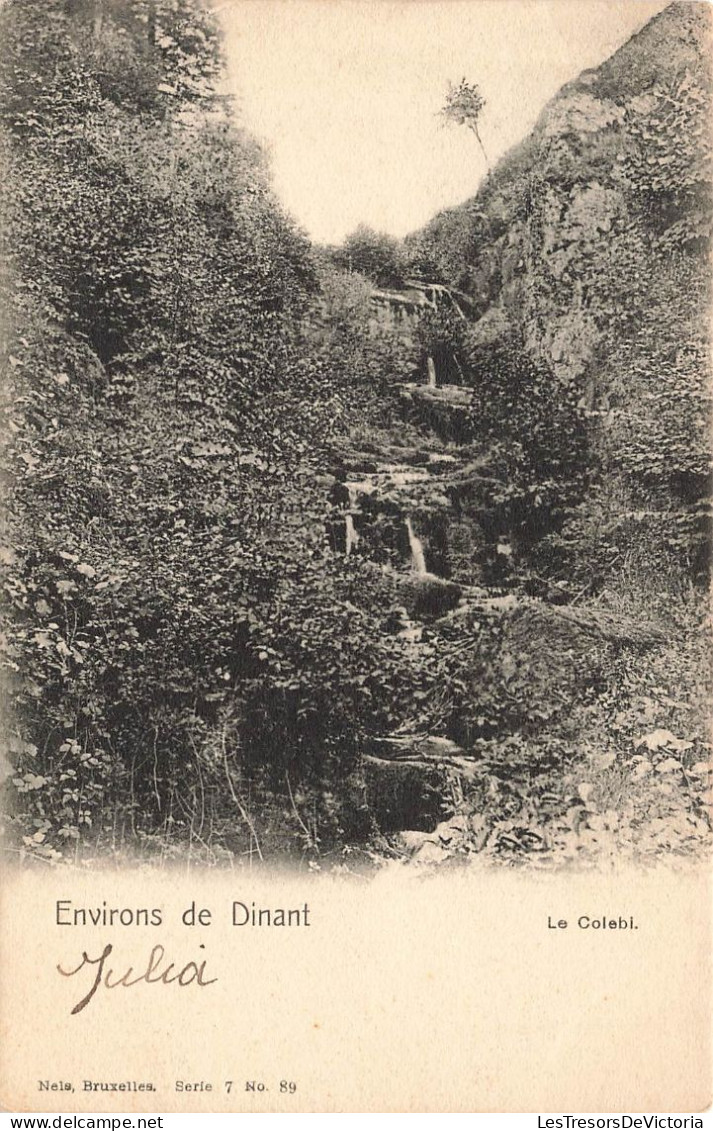 BELGIQUE -  Environs De Dinant - Vue Sur Le Colebi - Carte Postale Ancienne - Dinant