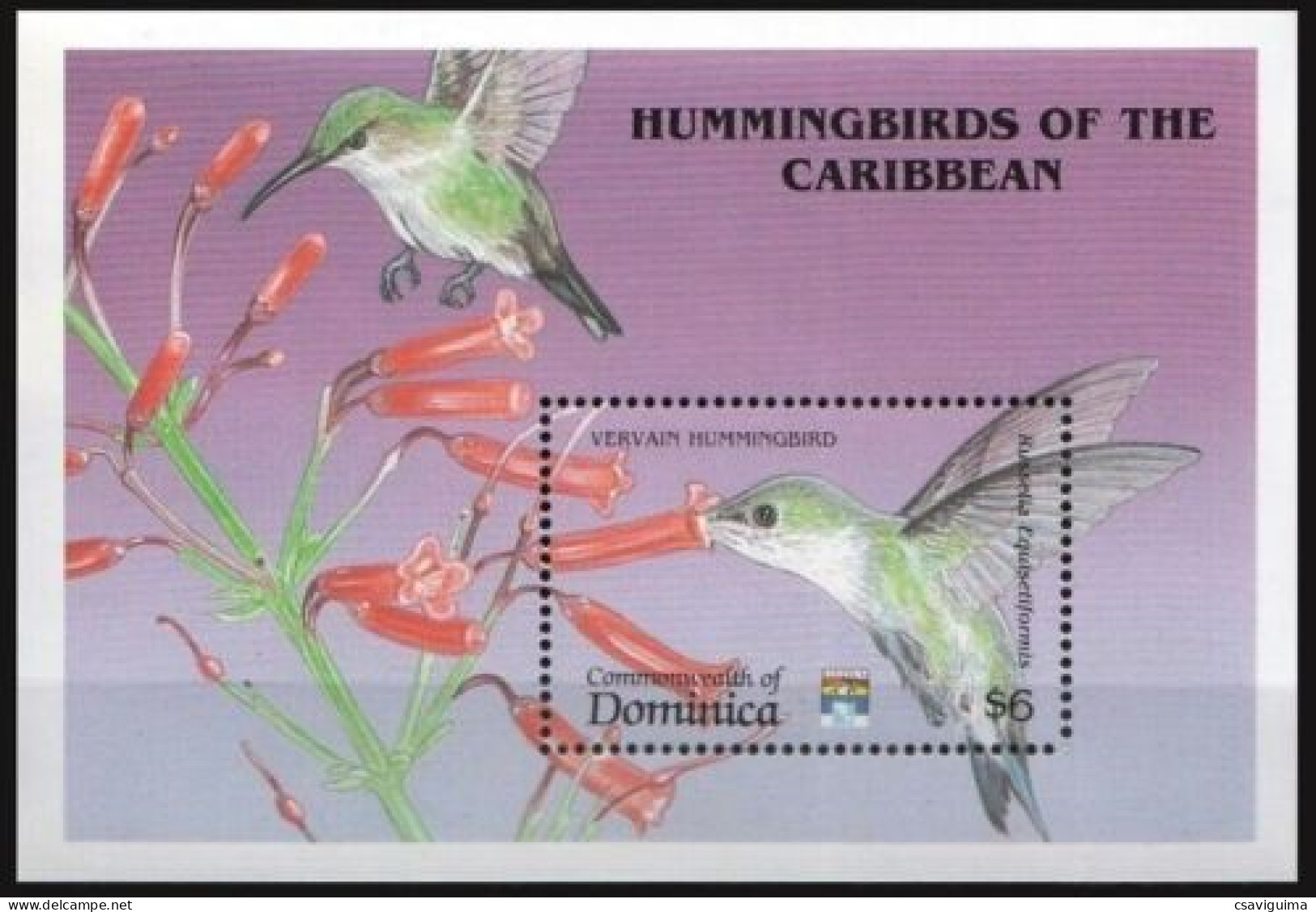 Dominica - 1992 - Birds: Hummingbirds - Yv Bf 211 - Segler & Kolibris
