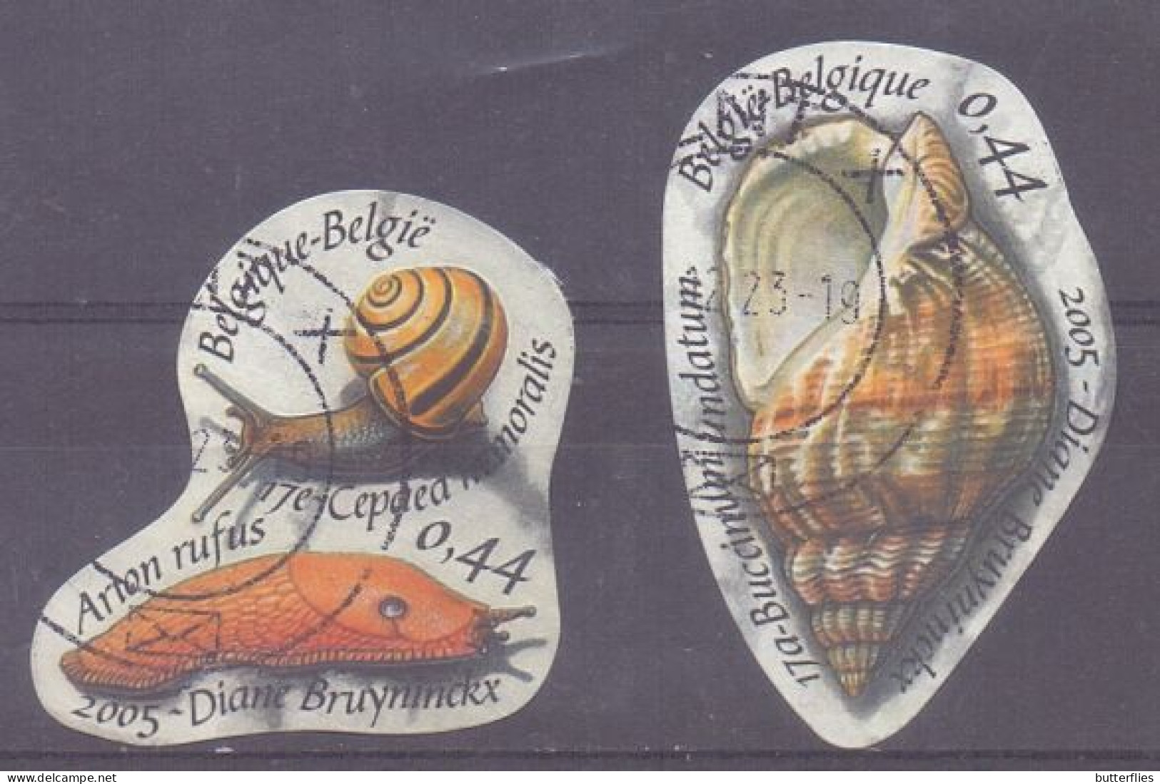 Belgie - 2005 - OBP - Natuur Schelpen - Used Stamps