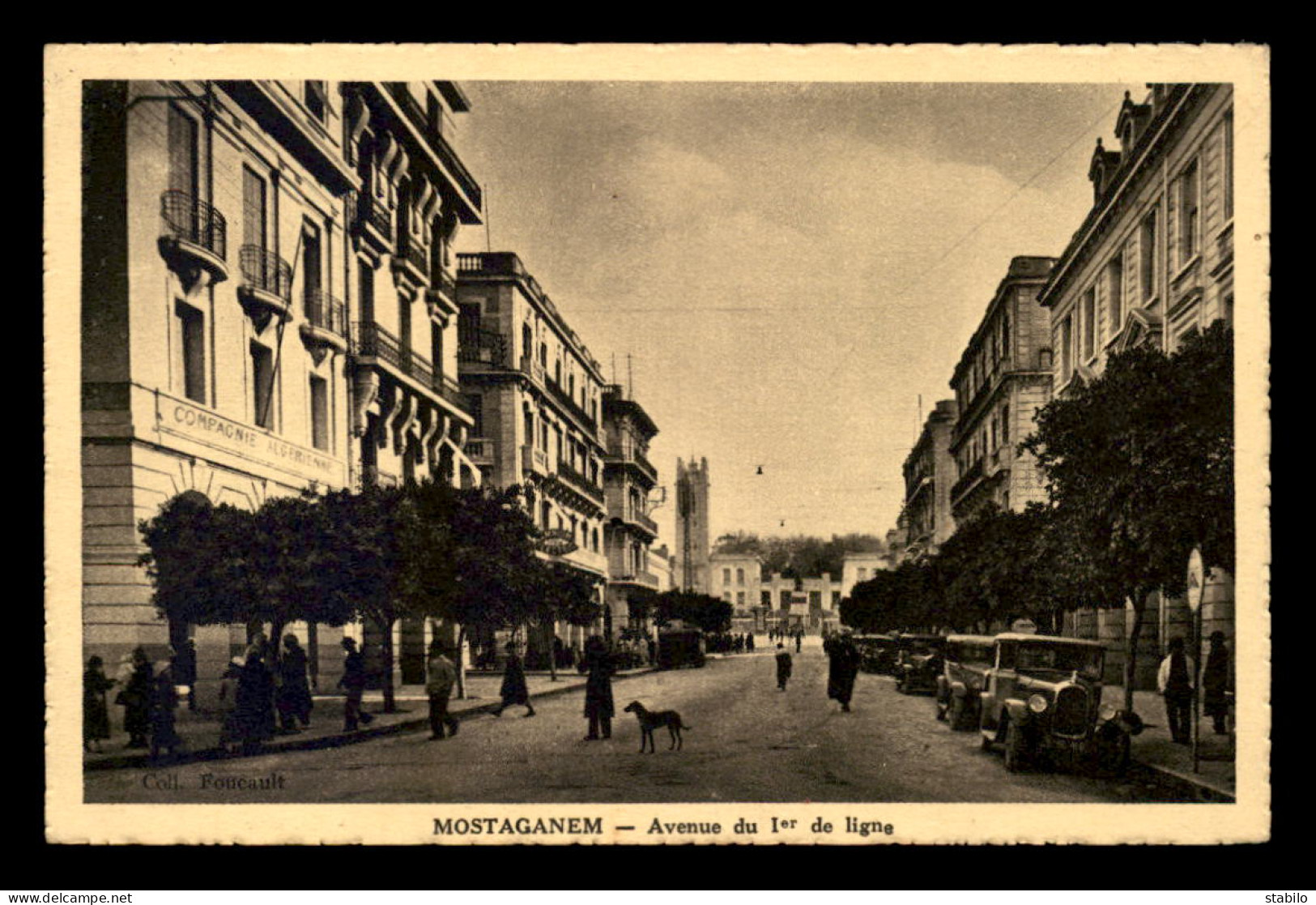 ALGERIE - MOSTAGANEM - AVENUE DU 1ER DE LIGNE - Mostaganem