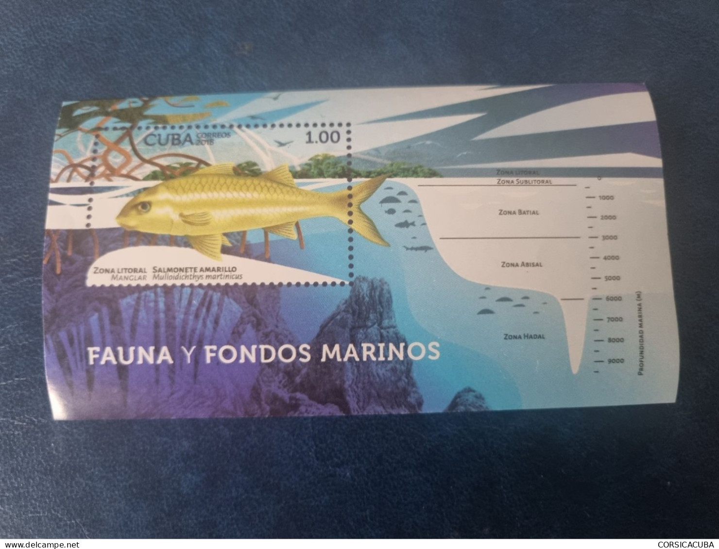 CUBA  NEUF  2018    HB  FAUNA  Y  FONDOS  MARINOS   //  PARFAIT  ETAT  //  1er  CHOIX  // - Neufs