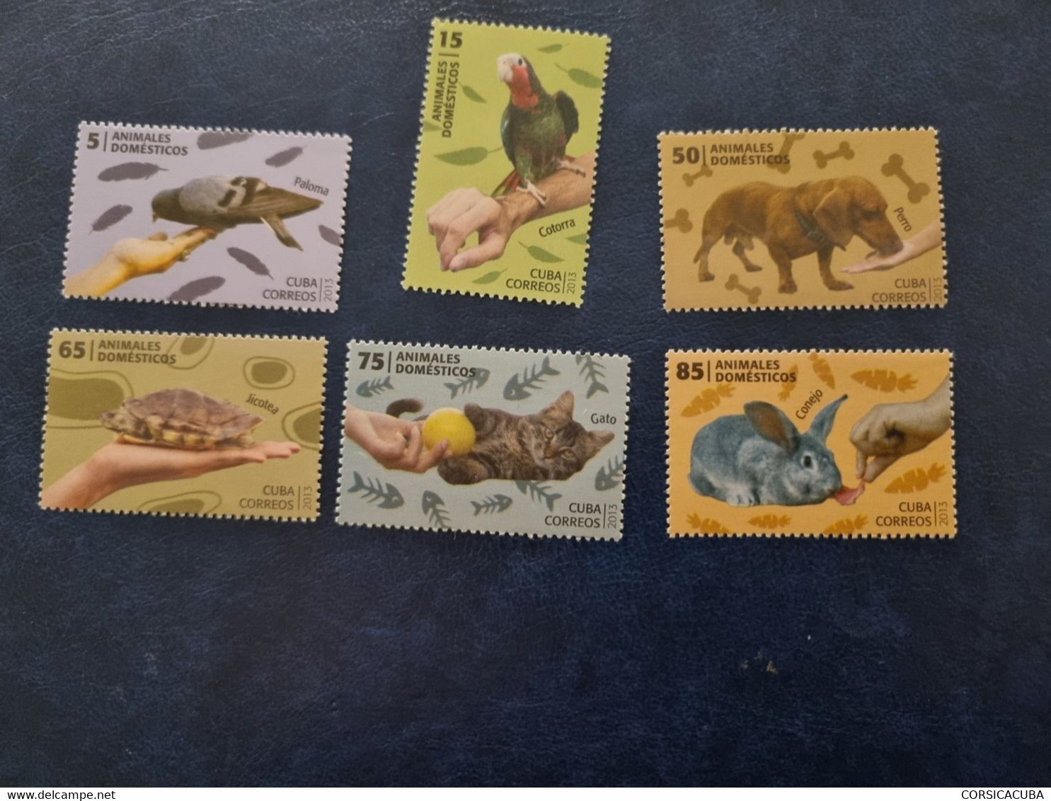 CUBA  NEUF  2013   ANIMALES  DOMESTICOS  //  PARFAIT  ETAT  //  1er  CHOIX // - Unused Stamps