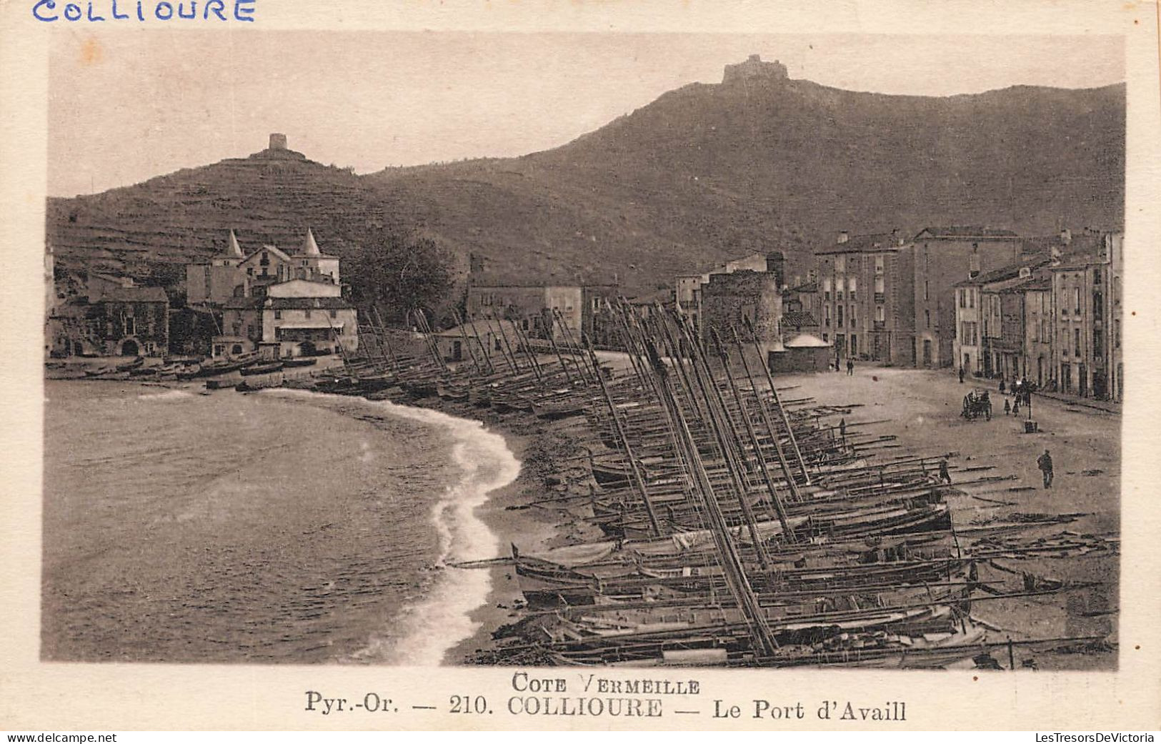 FRANCE - Collioure - Le Port D'Availl - Carte Postale Ancienne - Collioure