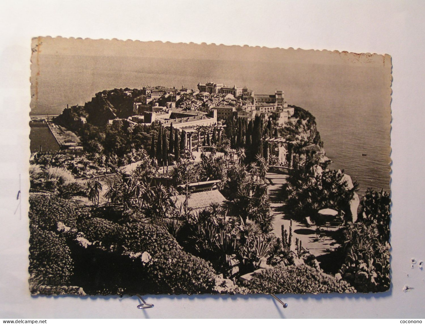 Monaco - Le Rocher Et Les Jardins Exotiques - Beaux Timbres - Giardino Esotico