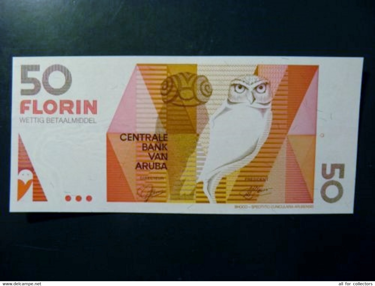 UNC Banknote Aruba 1993 50 Florin P-13 Animal Bird Oiseau Owl - Aruba (1986-...)