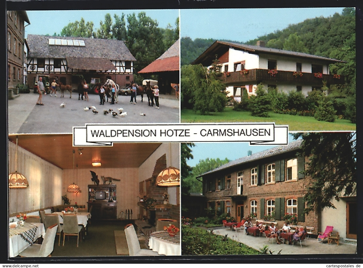 AK Witzenhausen, Hof Carmshausen, Waldpension Hotze In Vier Ansichten  - Witzenhausen