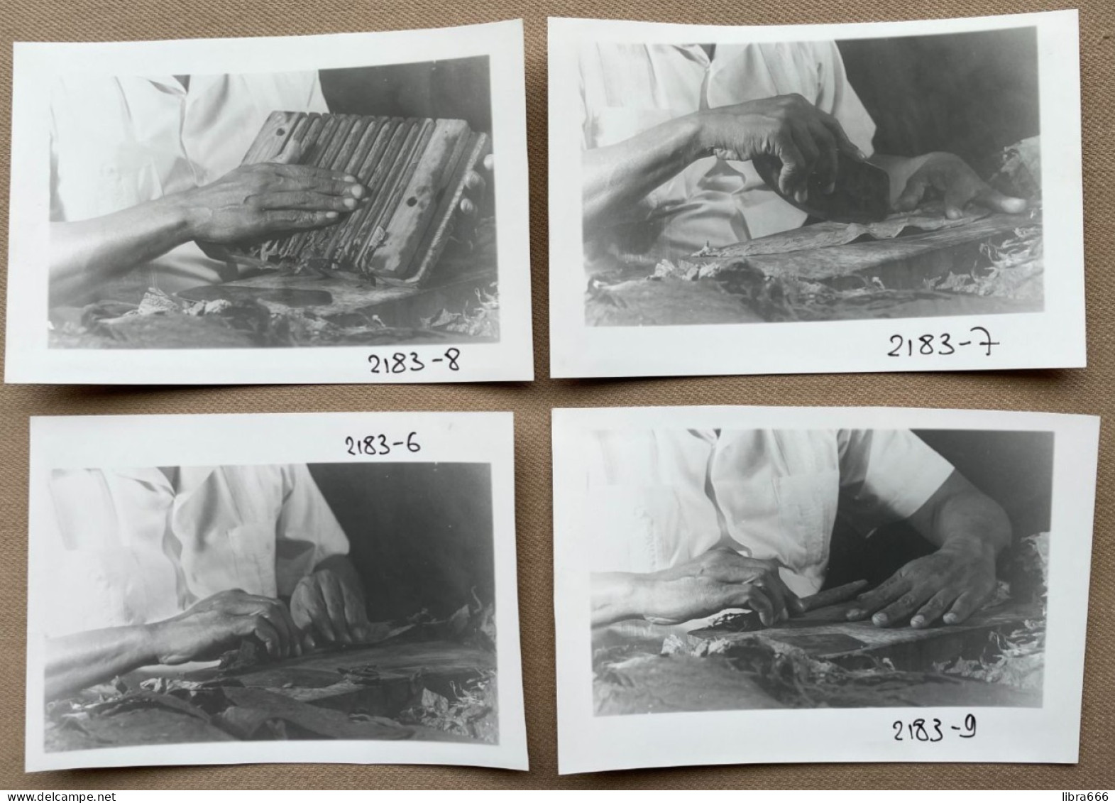 (4 X) Rolling And Cutting Cigars, CUBA  - 14 X 10 Cm (REPRO PHOTO! Zie Beschrijving, Voir Description, See Description)! - Berufe