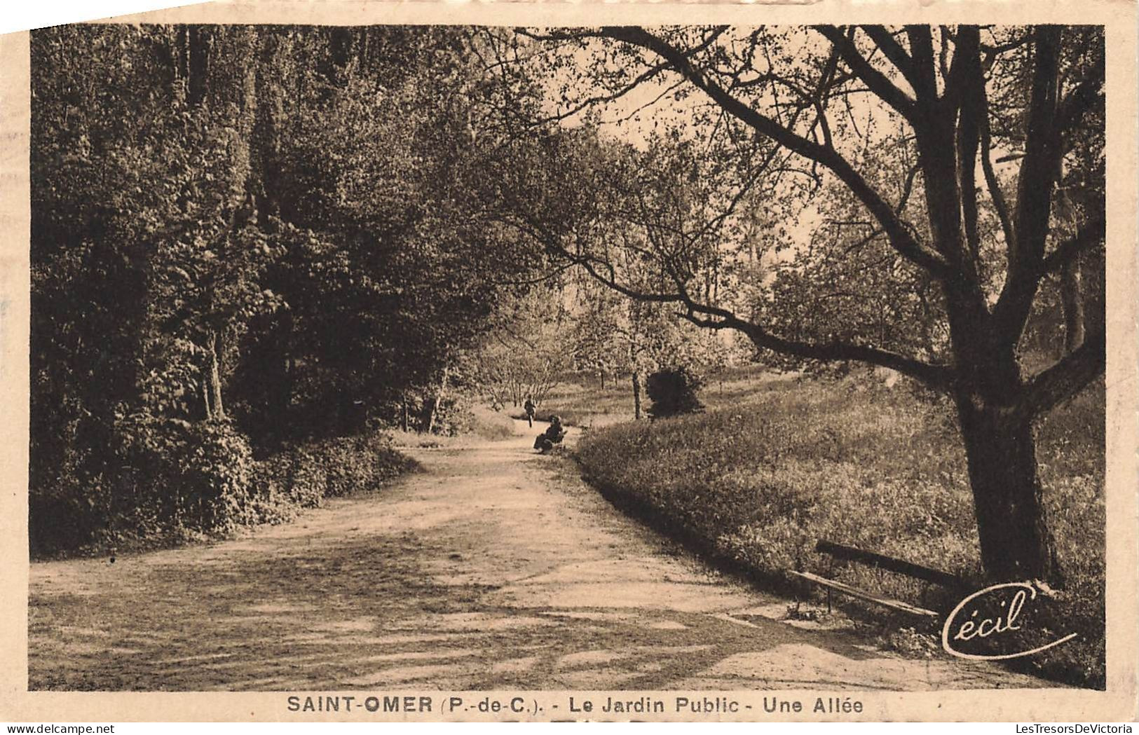 FRANCE - Saint Omer (P De C) - Vue Générale Sur Le Jardin Public - Une Allée - Carte Postale Ancienne - Saint Omer