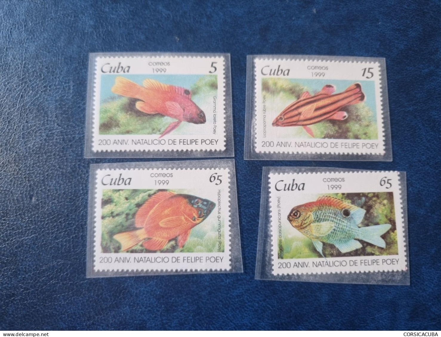 CUBA  NEUF  1999     NATALICIO  DE  FELIPE  POEY   //  PARFAIT  ETAT  //  1er  CHOIX  // - Unused Stamps