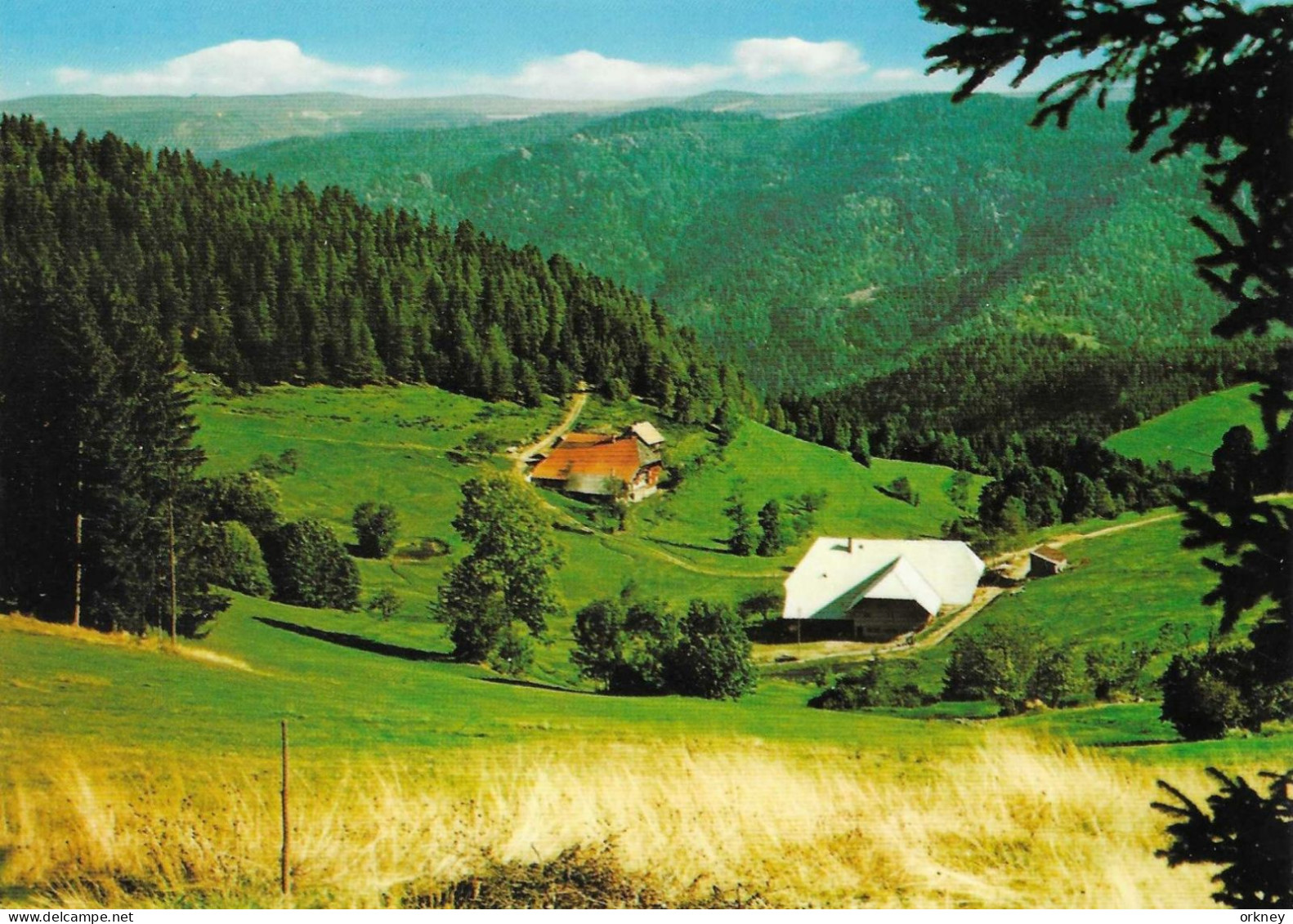 Duitsland 10 Schonach Blick Im Paradies - Schömberg