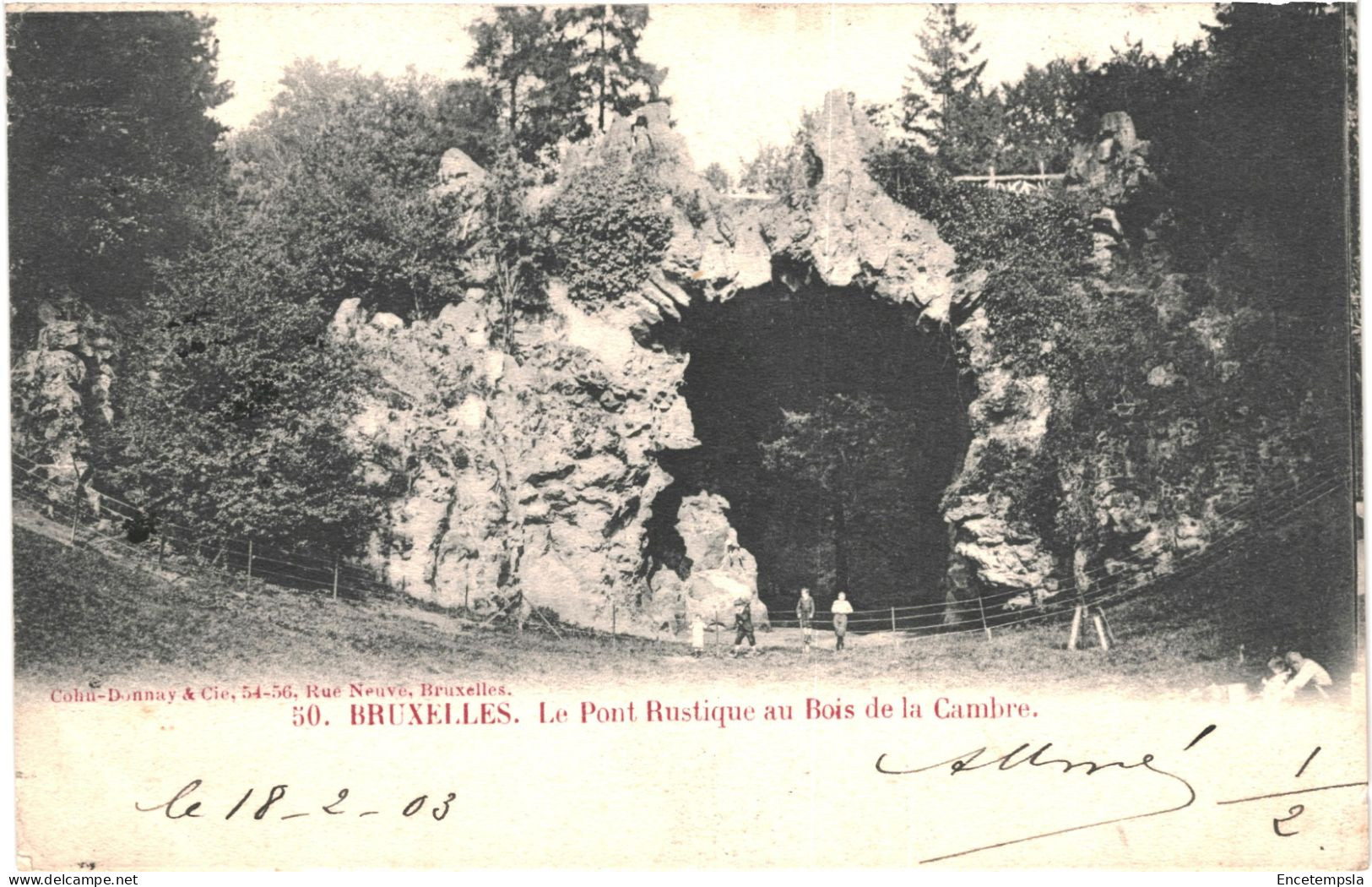 CPA Carte Postale Belgique Bruxelles Pont Rustique Du Bois De La Cambre 1903 VM78427 - Forêts, Parcs, Jardins