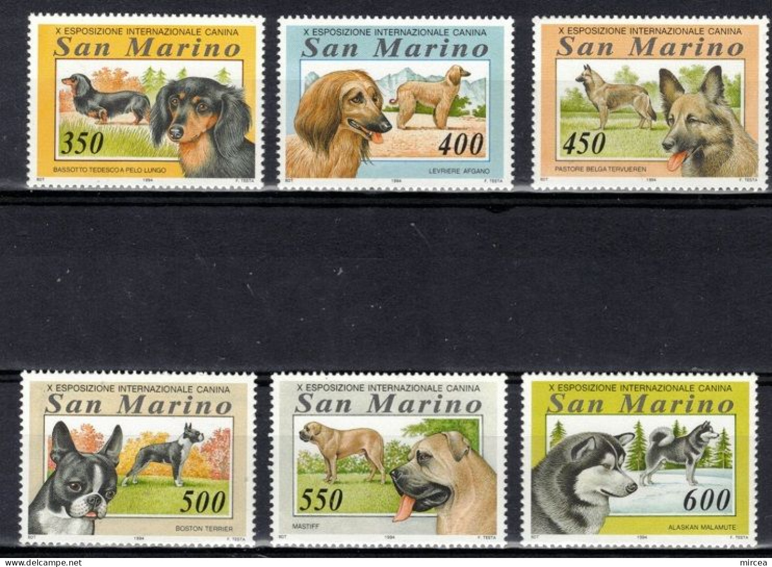 C5259 - Saint-Marin 1994 - Chiens 6v.neufs** - Unused Stamps