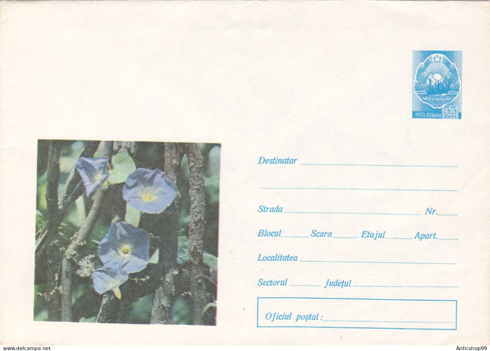 FLOWER , UNUSED,   COD. 24/72 , COVERS STATIONERY   ROMANIA - Ganzsachen