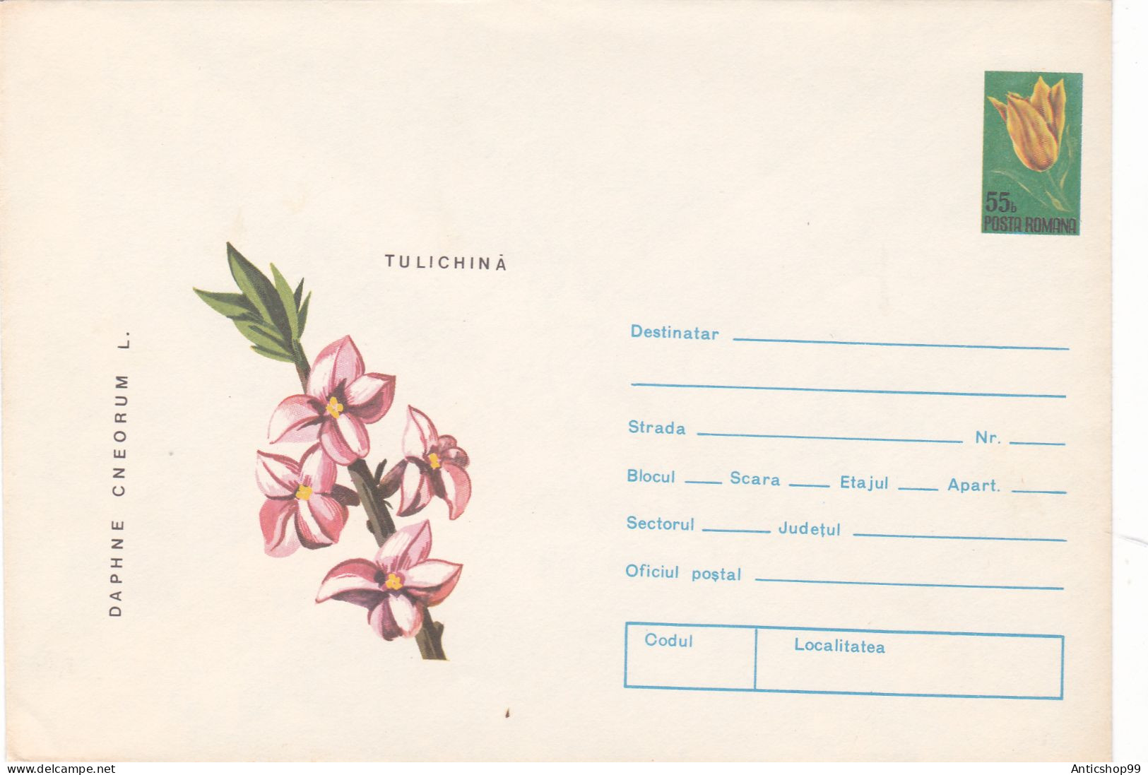 FLOWER , UNUSED,   COD. 0102/74 , COVERS STATIONERY   ROMANIA - Ganzsachen