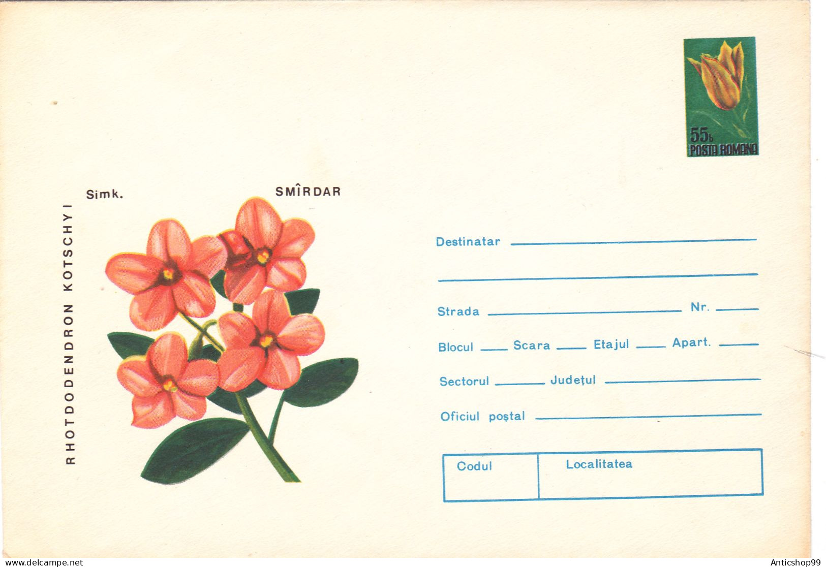 FLOWER , UNUSED,   COD. 0100/74 , COVERS STATIONERY   ROMANIA - Ganzsachen