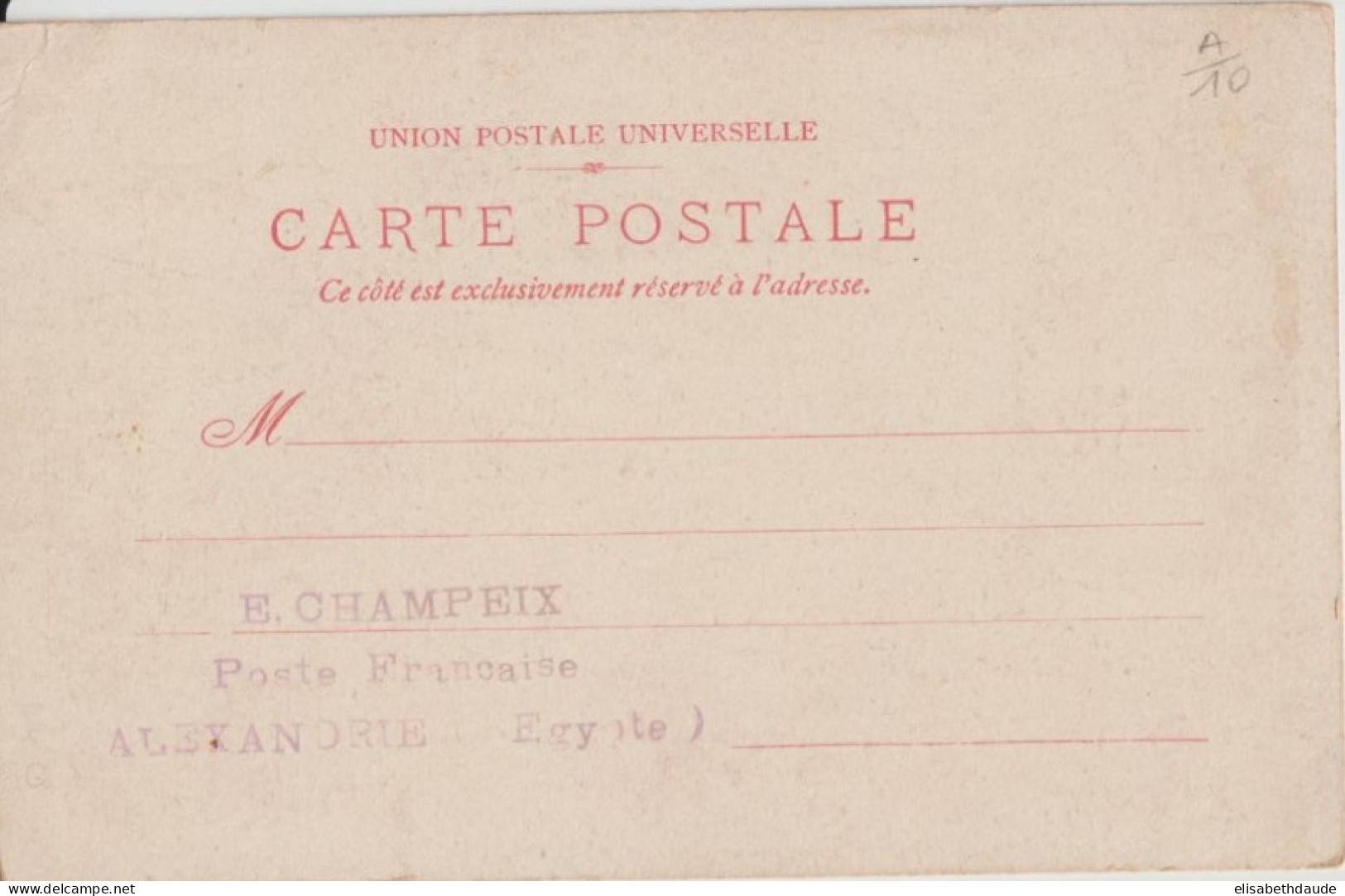 ALEXANDRIE (EGYPTE) - 1906 - TYPE BLANC Sur CARTE LOCALE - Storia Postale