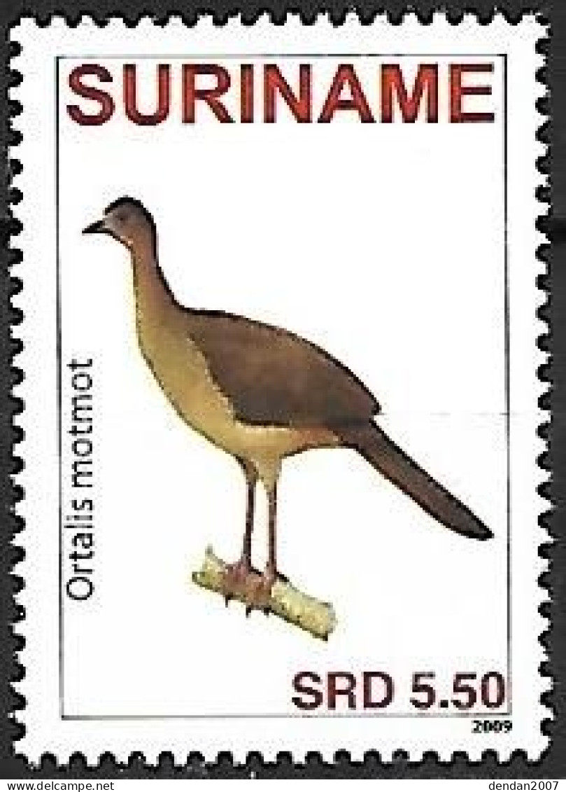 Suriname (Surinam) - MNH ** 2009 :     Little Chachalaca  -  Ortalis Motmot - Gallinacées & Faisans