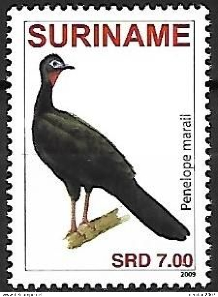 Suriname (Surinam) - MNH ** 2009 :    Marail Guan  -  Penelope Marail - Gallinacées & Faisans