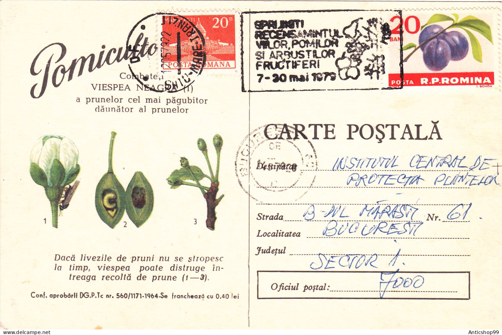 ADVERTISING THE FIGHTING OF PESTS,  USED,  COD. 560/1171/64,  POST CARD STATIONERY   ROMANIA - Ganzsachen