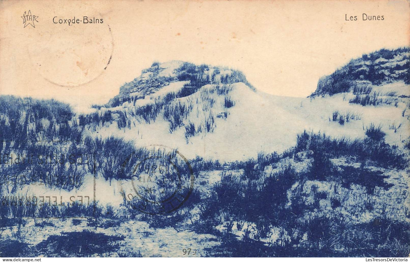 BELGIQUE - Coxyde Bains - Les Dunes - Vue Générale D'un Montagne - Glace - Carte Postale Ancienne - Sonstige & Ohne Zuordnung