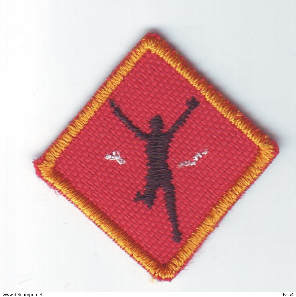 B 21 - 74 Scout Badge - Scoutisme