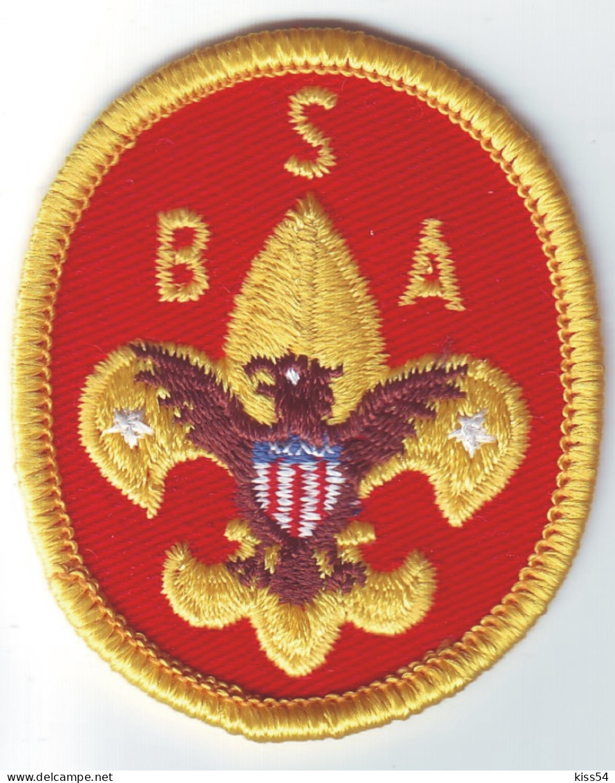 B 21 - 82 USA Scout Badge  - Movimiento Scout